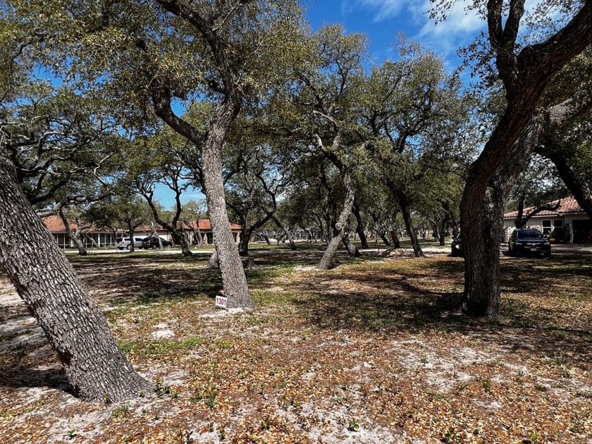 See what is behind the gate at Royal Oaks! The name says it all - Beach Lot for sale in Fulton, Texas on Beachhouse.com