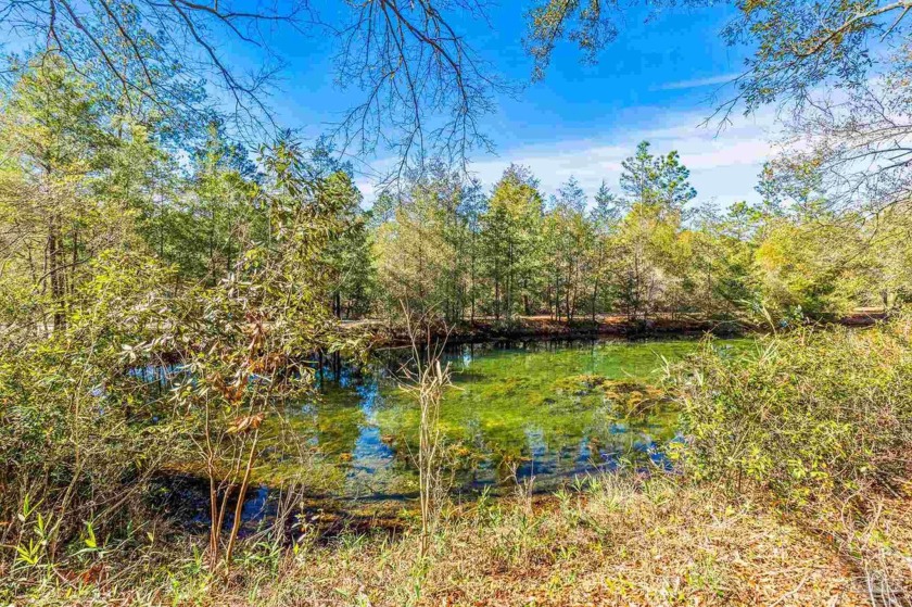 Come build your dream home on this 3.5 acre, partially cleared - Beach Acreage for sale in Pensacola, Florida on Beachhouse.com