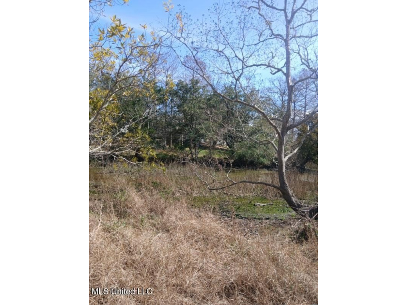 Welcome to an exceptional waterfront opportunity in the heart of - Beach Lot for sale in Gautier, Mississippi on Beachhouse.com