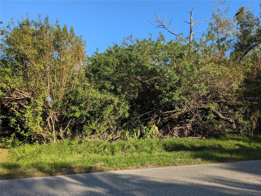 This oversized .39-acre buildable lot offers generous space and - Beach Lot for sale in Port Charlotte, Florida on Beachhouse.com