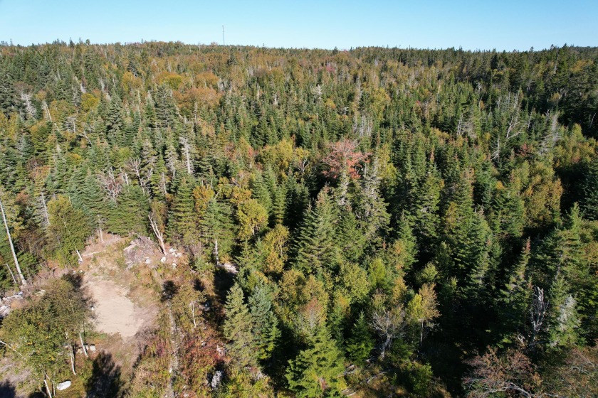 This stunning 7.7-acre surveyed lot is ready for your vision - Beach Acreage for sale in Lubec, Maine on Beachhouse.com
