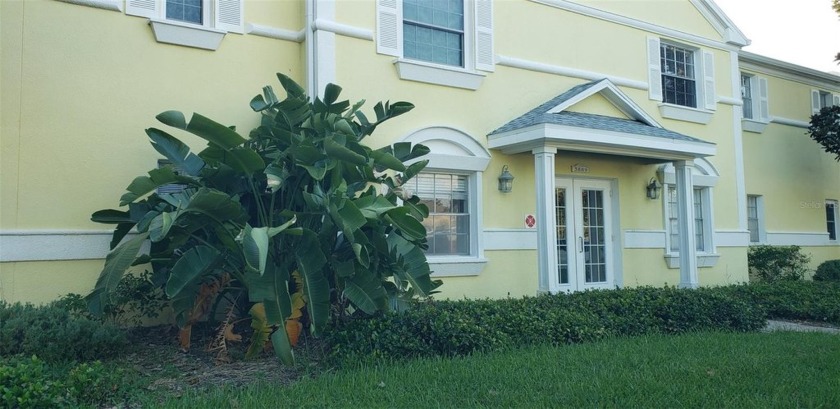 Spacious 1 bedroom / 1 bath, ground floor condo in Waterside at - Beach Condo for sale in St. Petersburg, Florida on Beachhouse.com