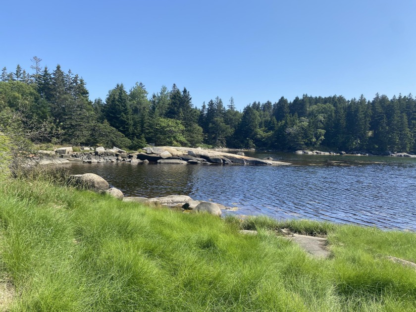 Build to suit on one of several possible, elevated sites on this - Beach Acreage for sale in Swans Island, Maine on Beachhouse.com