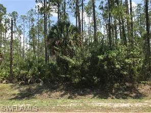 2.5 acres, waterfront. Perfect piece, all pine trees..
ON CANAL - Beach Acreage for sale in Naples, Florida on Beachhouse.com