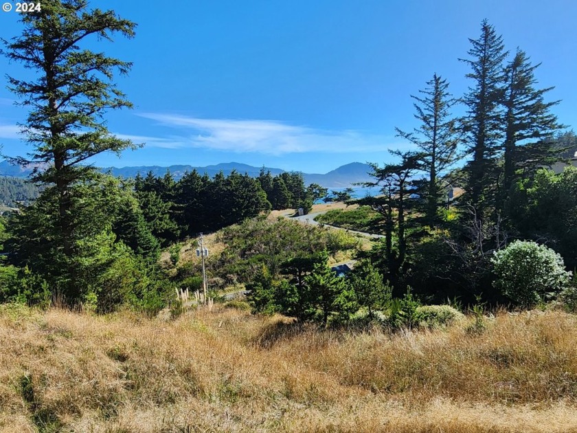 Imagine waking up to stunning sunrises over the Pacific Ocean - Beach Lot for sale in Port Orford, Oregon on Beachhouse.com