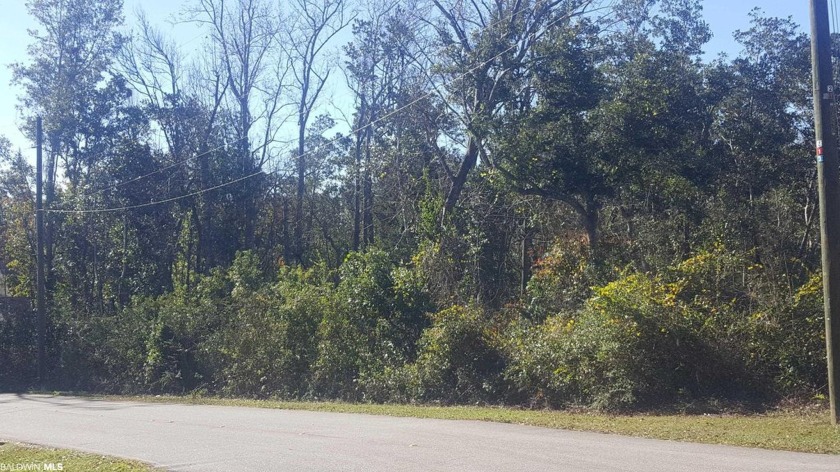 Build your dream home on this Residential lot on the bayside in - Beach Lot for sale in Lillian, Alabama on Beachhouse.com