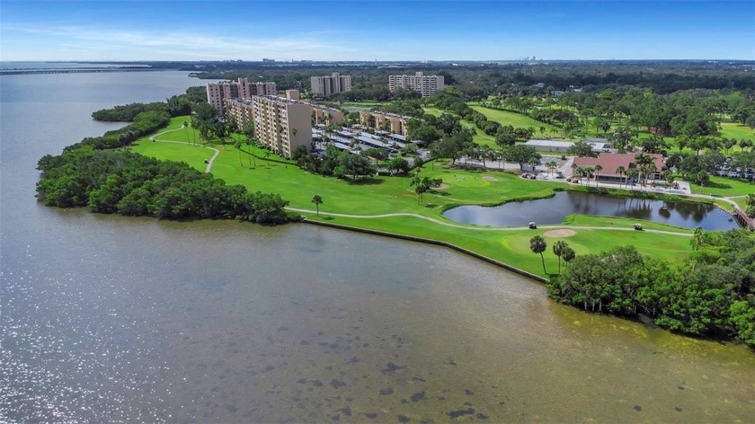 Stunning Resort-Style Condo with Designer Finishes and - Beach Condo for sale in Clearwater, Florida on Beachhouse.com