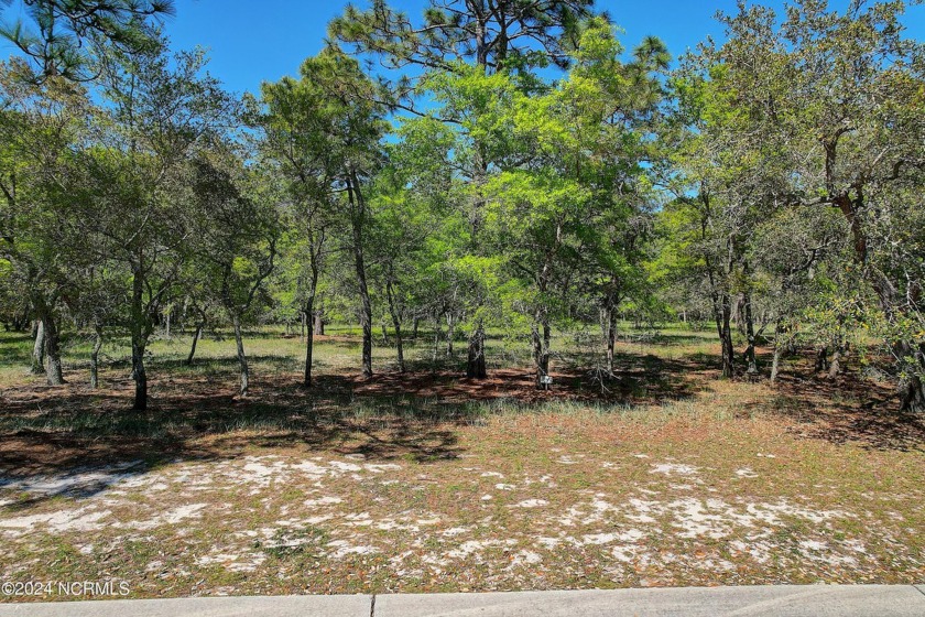 Magnificent Custom Home Site awaits your stunning CHARLESTON - Beach Lot for sale in Supply, North Carolina on Beachhouse.com