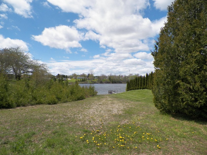 Looking for the perfect spot to build, ride, or just enjoy - Beach Acreage for sale in Cheboygan, Michigan on Beachhouse.com