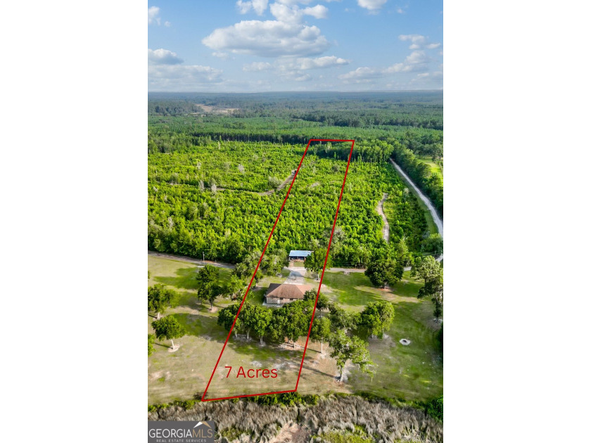 Beautiful 7-acre level marsh front lot featuring a cypress - Beach Acreage for sale in Townsend, Georgia on Beachhouse.com