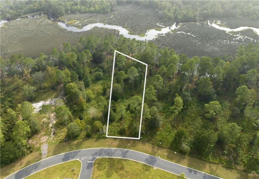 LARGE, MARSH-FRONT LOT IN LAKESIDE AT LONGWOOD! Build your dream - Beach Lot for sale in Brunswick, Georgia on Beachhouse.com
