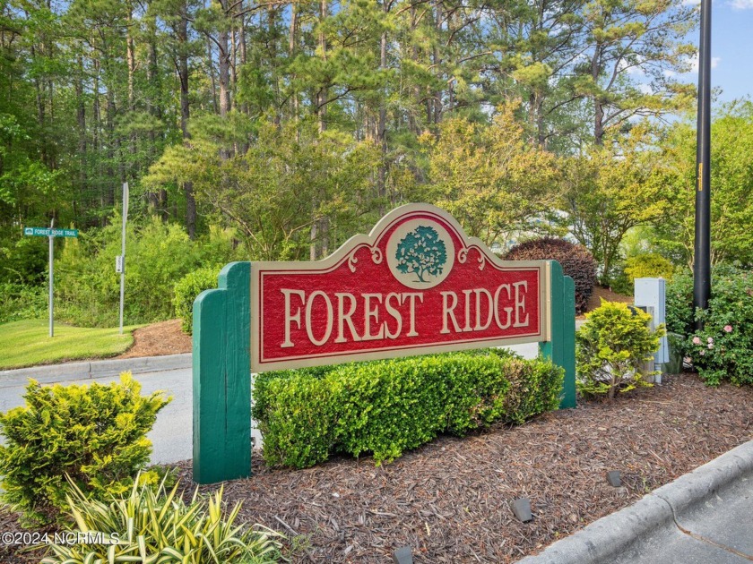 Welcome to the Forest Ridge subdivision! This sought after - Beach Acreage for sale in Stella, North Carolina on Beachhouse.com