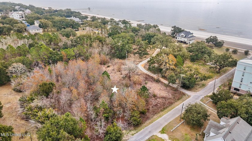 Discover the perfect canvas for your coastal dream on Boisdore - Beach Lot for sale in Pass Christian, Mississippi on Beachhouse.com