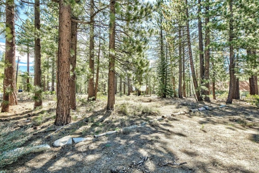 Lake Tahoe has a finite supply of vacant land remaining and this - Beach Lot for sale in South Lake Tahoe, California on Beachhouse.com