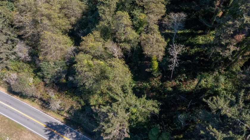 Are you looking for the perfect piece of land to build your - Beach Lot for sale in Smith River, California on Beachhouse.com