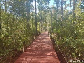 Beautiful 10 acres offering lots of privacy, located on the - Beach Acreage for sale in Inglis, Florida on Beachhouse.com