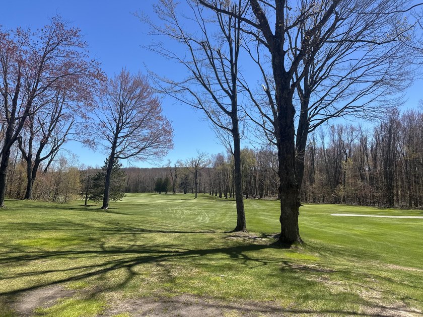 Spectacular views of the Moor Golf Course at the Highlands for - Beach Lot for sale in Harbor Springs, Michigan on Beachhouse.com