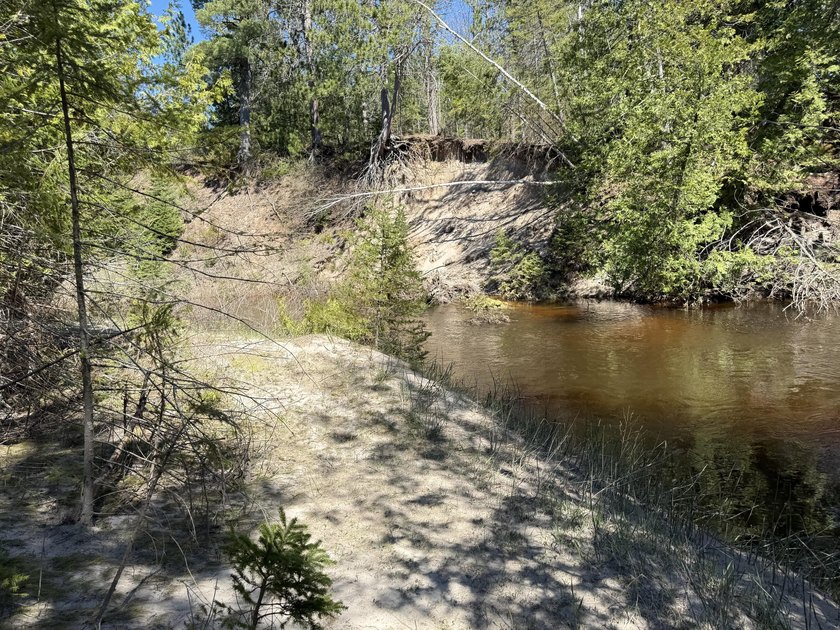 22 PLUS ACRES, 1771 FEET OF FRONTAGE ON THE OQUEOC RIVER - Beach Acreage for sale in Ocqueoc, Michigan on Beachhouse.com