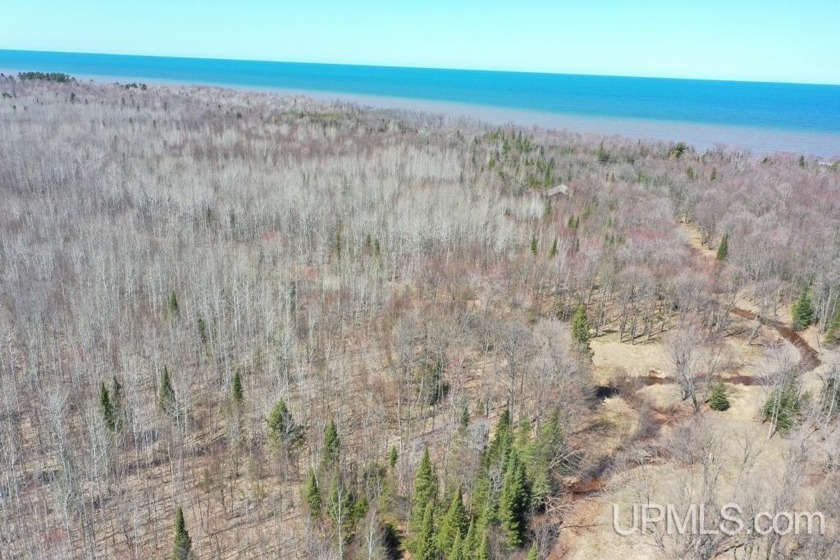 Fully wooded 57.48 acre parcel with Pine Creek frontage all - Beach Acreage for sale in Ontonagon, Michigan on Beachhouse.com