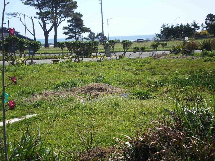 This is a 60x120 corner lot with a great view of the pacific - Beach Lot for sale in Crescent City, California on Beachhouse.com