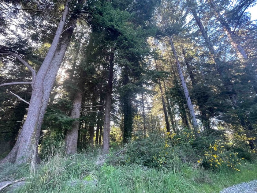 Sweet, desirable, end of the road lot backing up close to Lake - Beach Lot for sale in Crescent City, California on Beachhouse.com