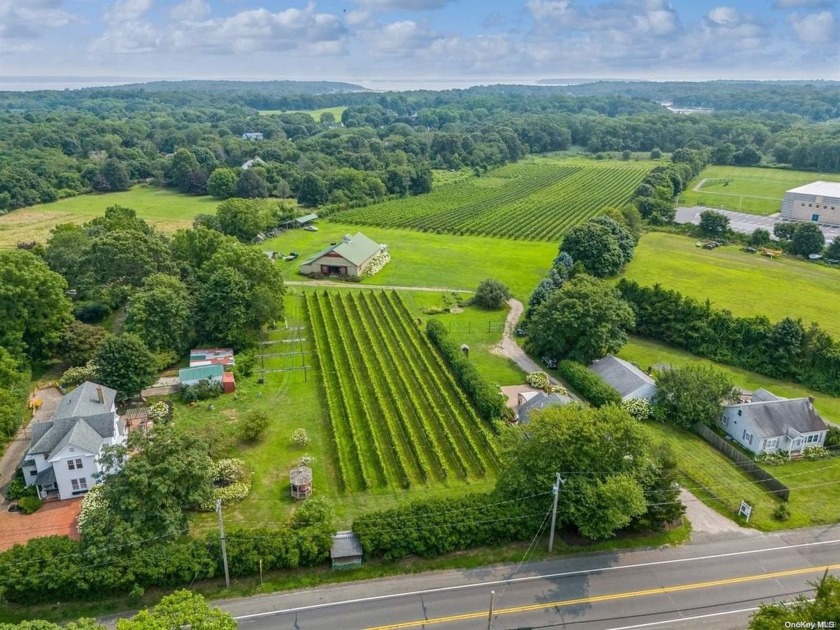 **Billard-Tuthill House: A Historic Boutique Vineyard Estate** - Beach Home for sale in Cutchogue, New York on Beachhouse.com