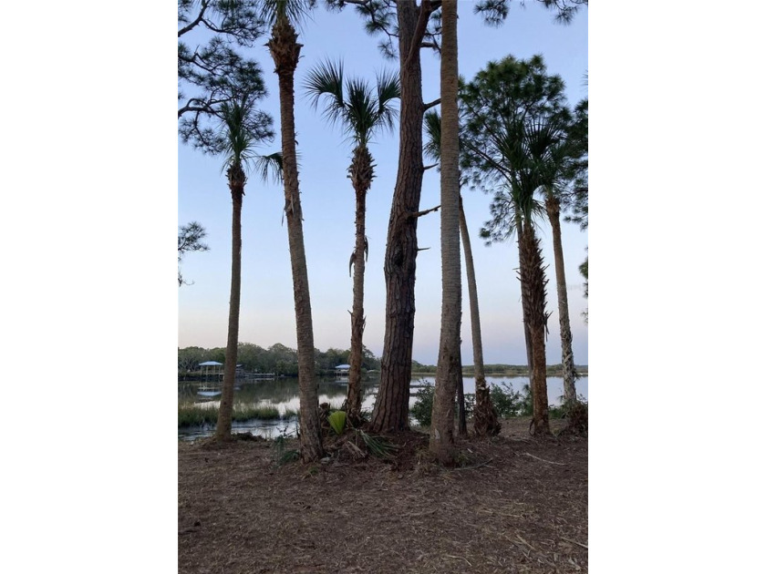 Beautiful waterfront lot with amazing views to build your - Beach Lot for sale in Cedar Key, Florida on Beachhouse.com