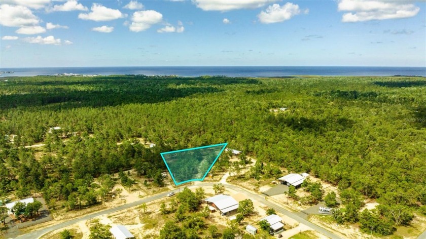 Find your private coastal getaway in Taylor County, Florida - Beach Lot for sale in Perry, Florida on Beachhouse.com