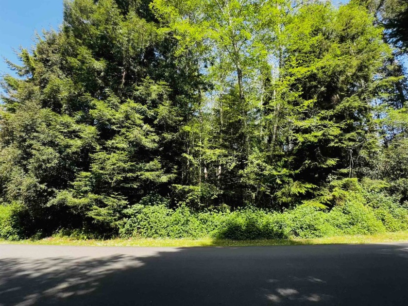 Nestled in the tranquil Greenside Estates, this captivating 1.06 - Beach Lot for sale in Crescent City, California on Beachhouse.com