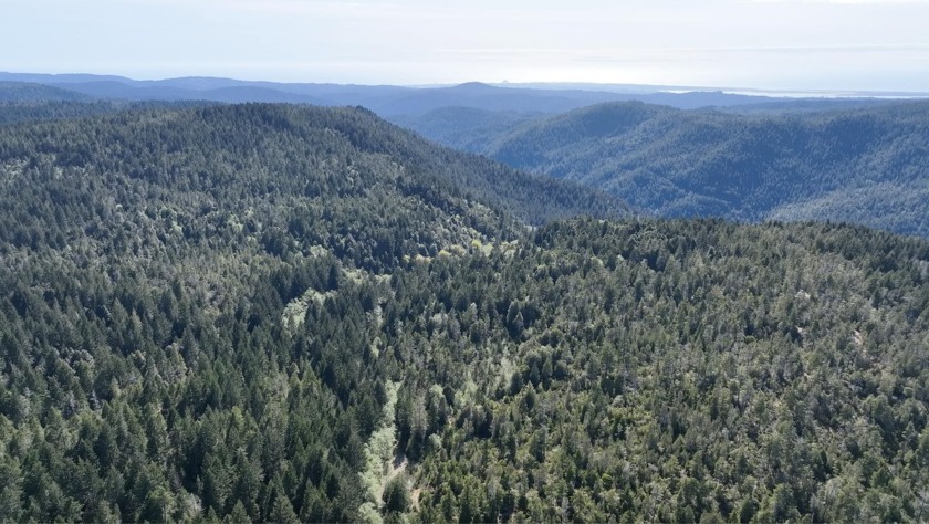 Section 36, ~623 acres , nearly 1 square mile of pristine - Beach Acreage for sale in Gasquet, California on Beachhouse.com