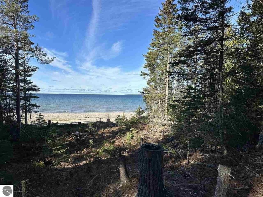 Stunning Lake Michigan frontage. With 225' of private mixed sand - Beach Acreage for sale in Beaver Island, Michigan on Beachhouse.com