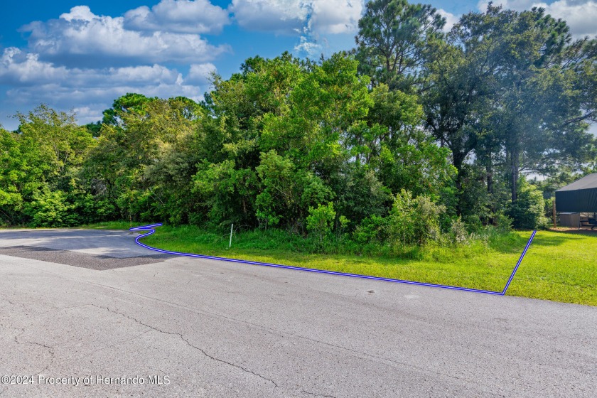 This one checks all the boxes. A beautiful oversized, cul de sac - Beach Lot for sale in Spring Hill, Florida on Beachhouse.com