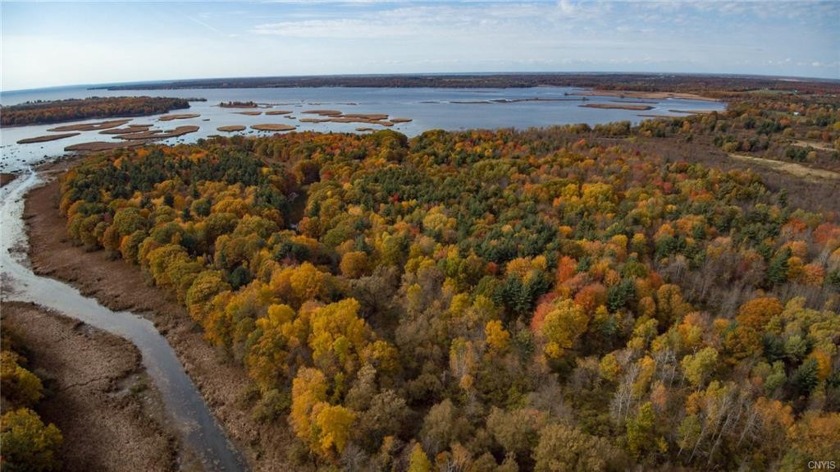 Over 133 acres of One of a kind stunning wooded waterfrontage! - Beach Lot for sale in Dexter, New York on Beachhouse.com