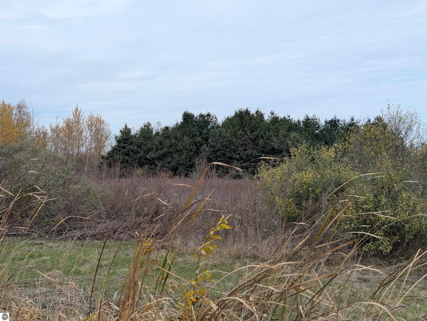 10.19 acres available on a blacktopped road! Located close to - Beach Acreage for sale in Au Gres, Michigan on Beachhouse.com