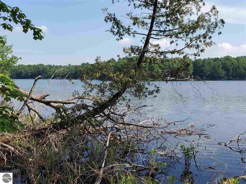 Rarely offered, private frontage on Mickey Lake! This is a 3.79 - Beach Acreage for sale in Traverse City, Michigan on Beachhouse.com