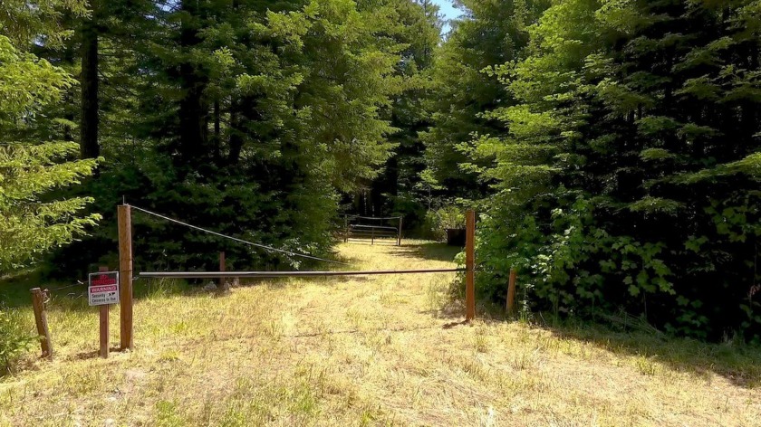 Discover your own private sanctuary amidst towering redwoods - Beach Lot for sale in Crescent City, California on Beachhouse.com