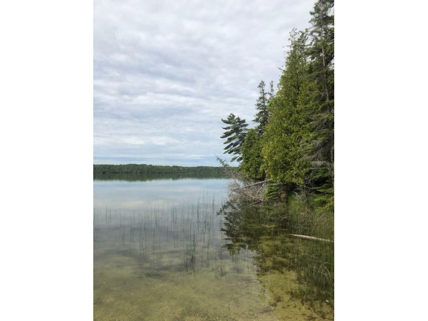 RARE LAKE MARY WATERFRONT PARCEL WITH LARGE BACK PARCEL FOR - Beach Lot for sale in Bois Blanc Island, Michigan on Beachhouse.com
