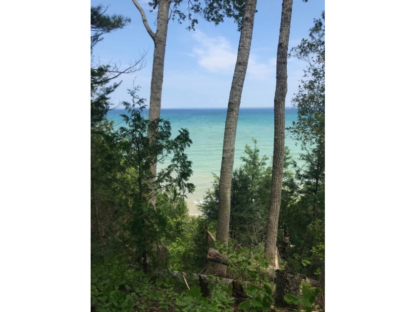 Elevated lot with a wide view of the Straits of Mackinac, watch - Beach Lot for sale in Cheboygan, Michigan on Beachhouse.com