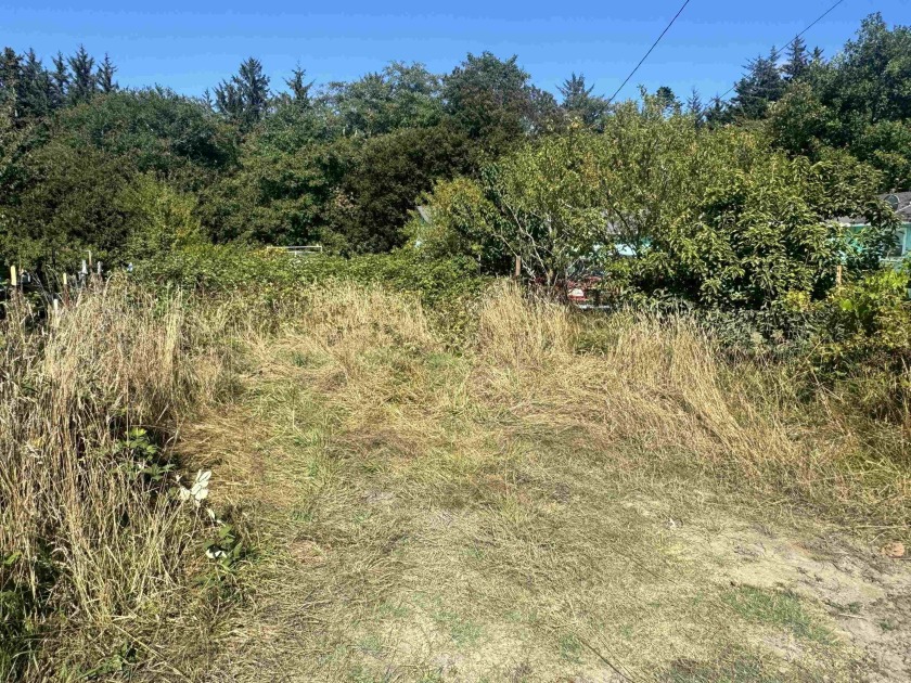 Great lot to put your new home on. Close to shopping and doctors - Beach Lot for sale in Crescent City, California on Beachhouse.com