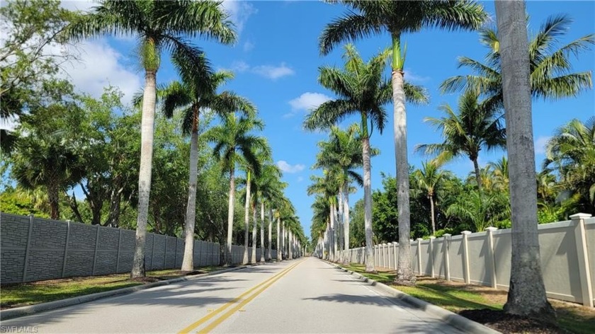 Picture driving down Championship Drive beautiful, majestic - Beach Home for sale in Naples, Florida on Beachhouse.com