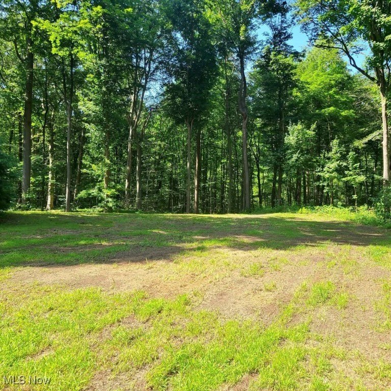 An absolutely beautiful lot surrounded by nature under the - Beach Lot for sale in Madison, Ohio on Beachhouse.com