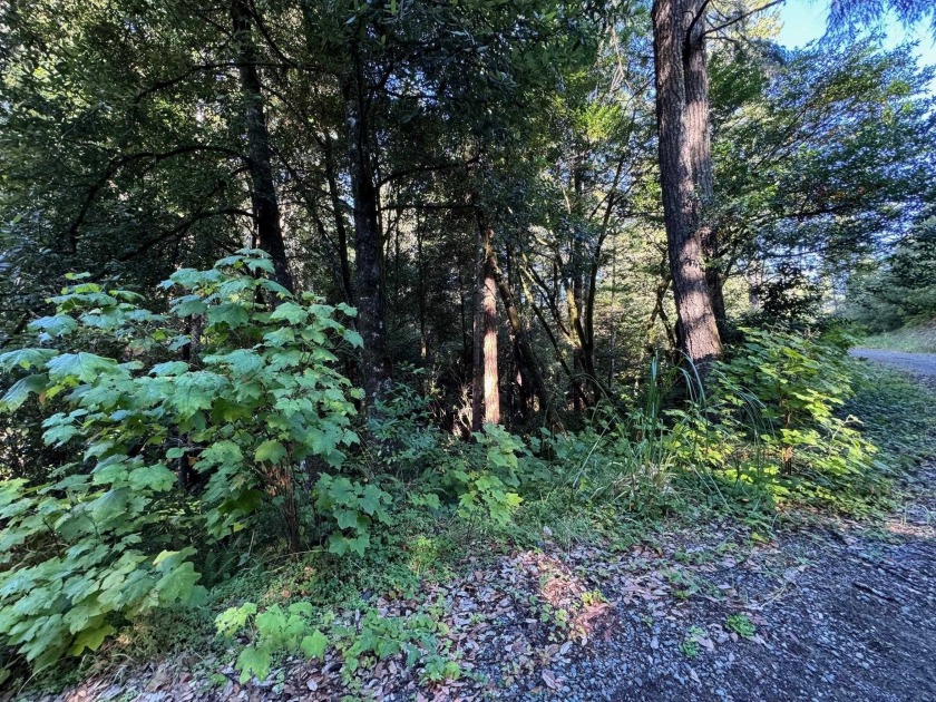 Build your dream on 2.54 Acres in Hiouchi and experience the - Beach Lot for sale in Crescent City, California on Beachhouse.com