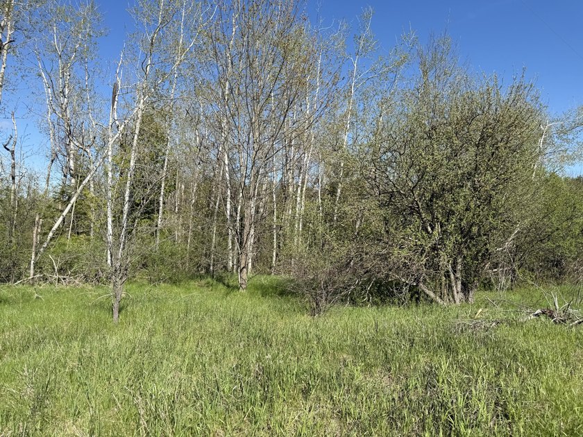Beautiful almost 1 acre parcel located at 6330 South River Road - Beach Lot for sale in Cheboygan, Michigan on Beachhouse.com