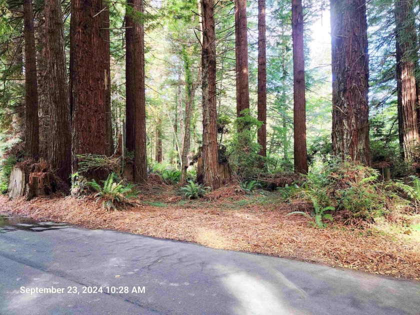 Discover your own Redwood paradise!  This 1-acre parcel offers - Beach Lot for sale in Crescent City, California on Beachhouse.com