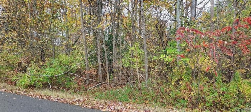 Fabulous wooded corner lot less than 1 mile from Point Breeze - Beach Lot for sale in Angola, New York on Beachhouse.com