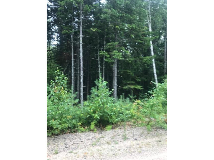 A nice buildable lot in the subdivision of Sandy Acres. Close to - Beach Lot for sale in Sullivan, Maine on Beachhouse.com