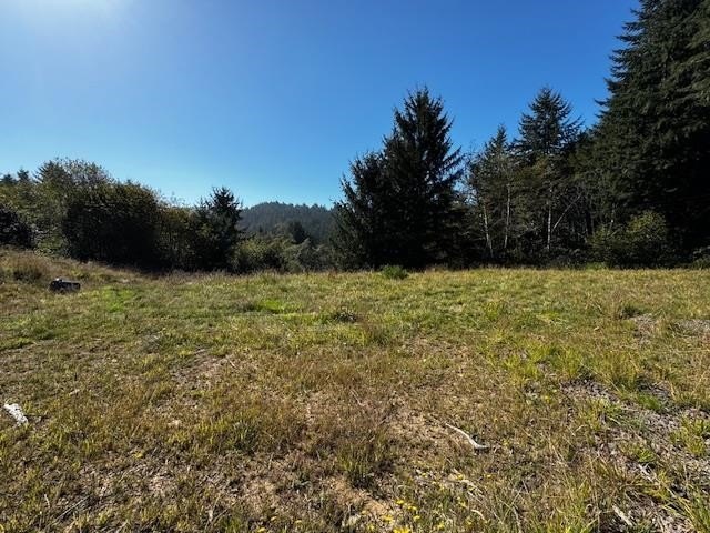 Gorgeous and Private 5 acre parcel located in Smith River - Beach Lot for sale in Smith River, California on Beachhouse.com