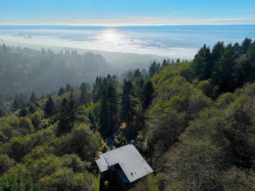 *Dream House with a Stunning Ocean View*, nature all around, and - Beach Home for sale in Smith River, California on Beachhouse.com