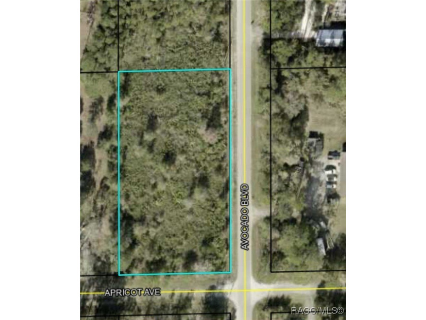 Great AFFORDABLE corner lot! You can build a dream home, and - Beach Lot for sale in Bunnell, Florida on Beachhouse.com