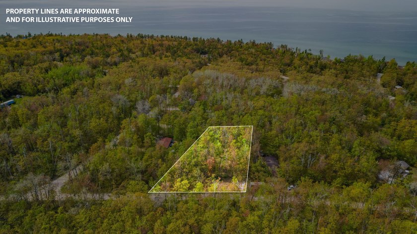 Rare opportunity to own three beautifully wooded lots in the - Beach Lot for sale in Cheboygan, Michigan on Beachhouse.com